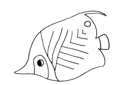 鲽鱼简笔画图片