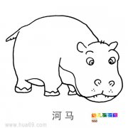 儿童简笔画：憨厚的河马