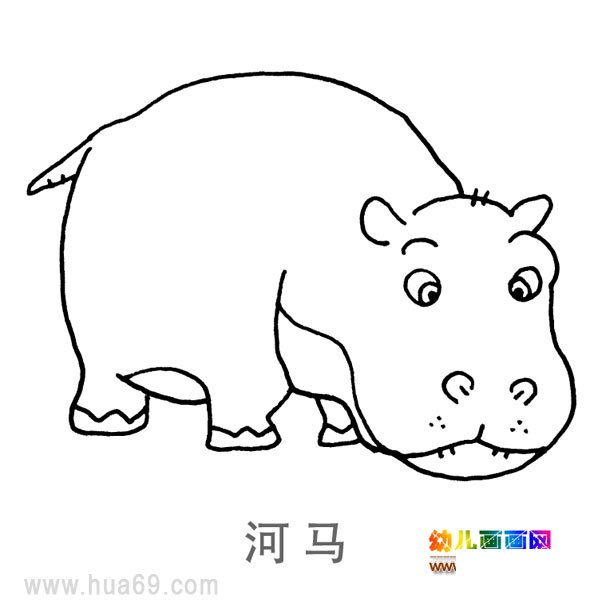 儿童简笔画：憨厚的河马