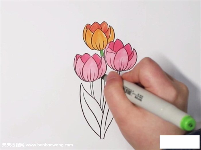 郁金香简笔画