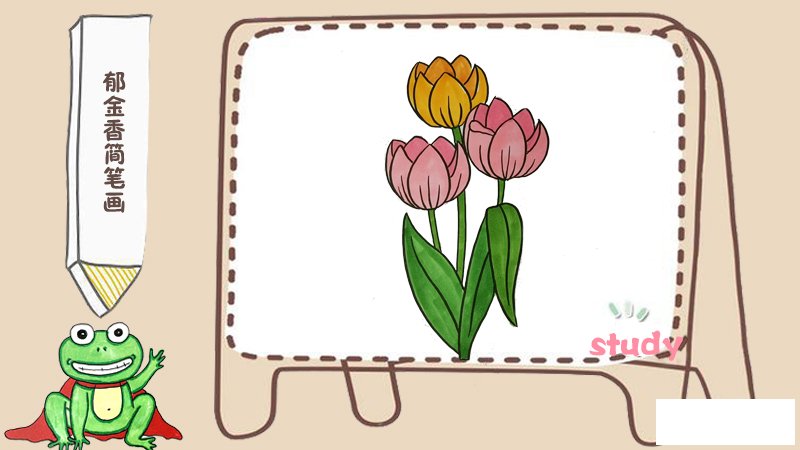 郁金香简笔画