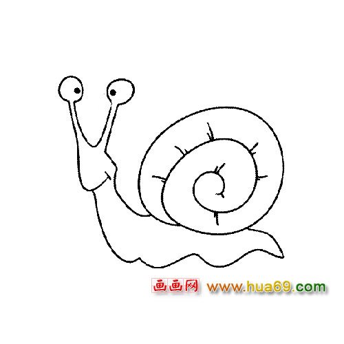 动物简笔画：张望的小蜗牛