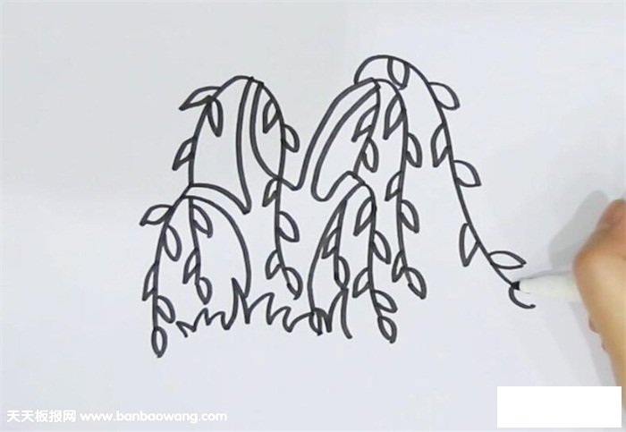 河边垂柳简笔画