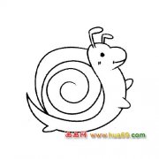 动物简笔画：玩耍的小蜗牛