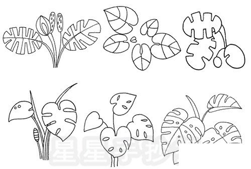 龟背竹简笔画