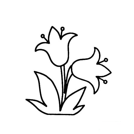 郁金香的简笔画法5