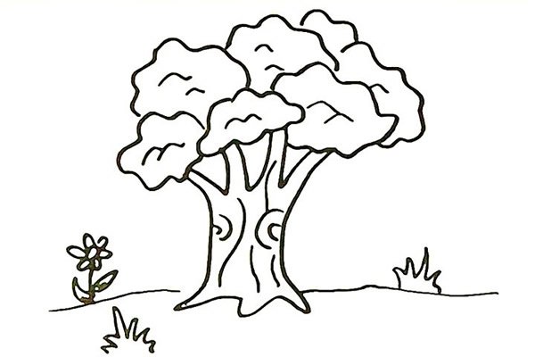 大榕树简笔画