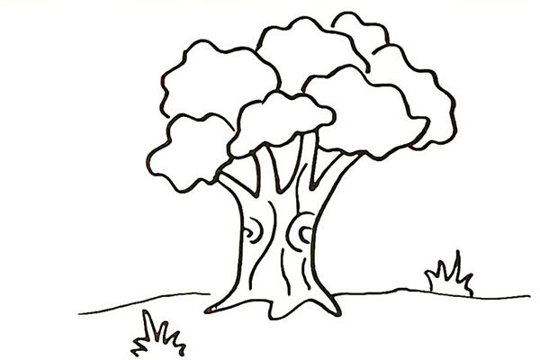 大榕树简笔画