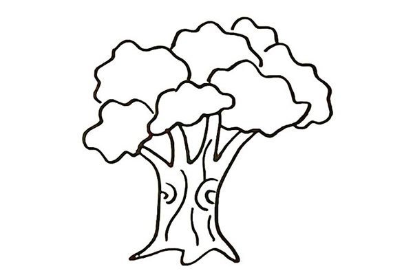 大榕树简笔画