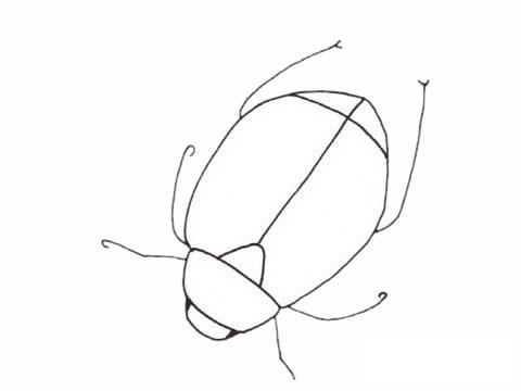 甲虫简笔画图片