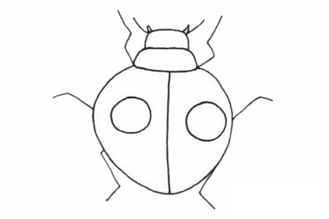 甲虫简笔画