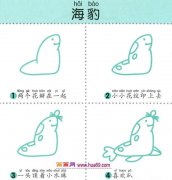 儿童简笔画：四步画好动的海豹图解教程