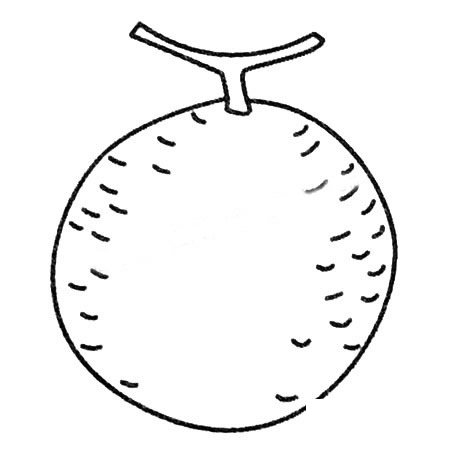 哈密瓜简笔画大全及画法步骤