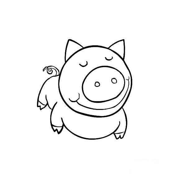 可爱小猪的简单画法6