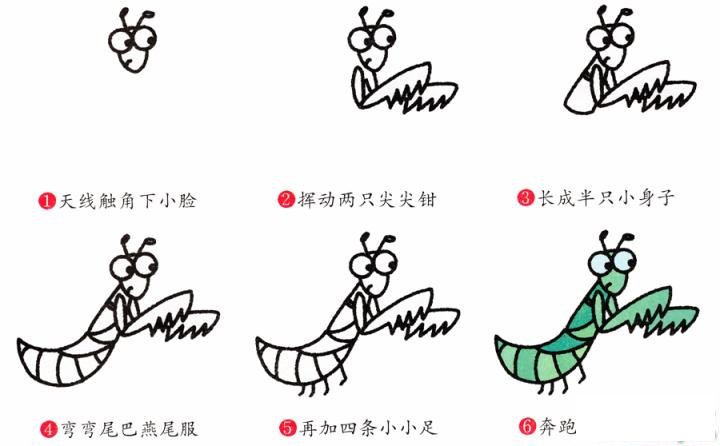 简笔画螳螂的具体步骤图示