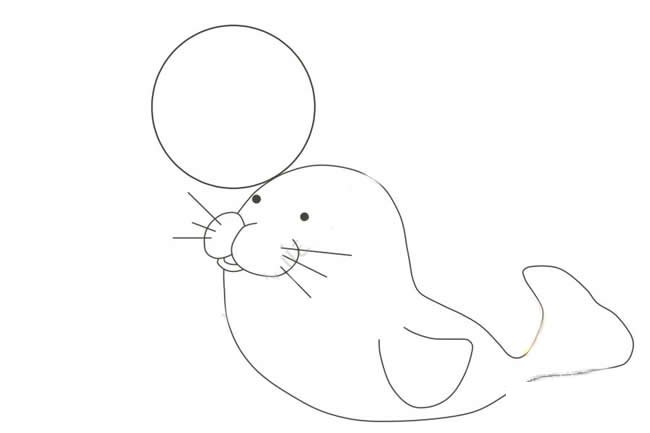 小海豹简笔画步骤图