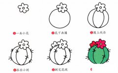 仙人球植物花简笔画步骤图片大全二