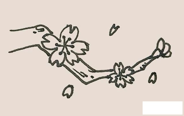 桃花简笔画图片