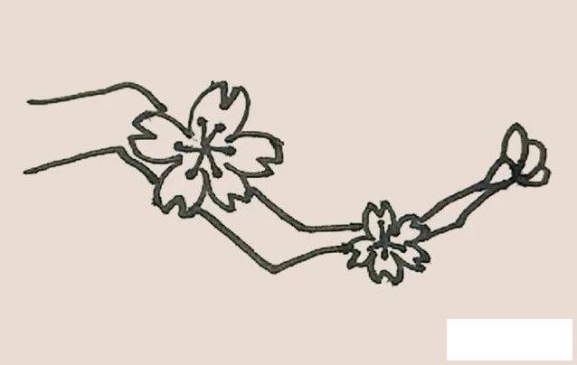 桃花简笔画图片