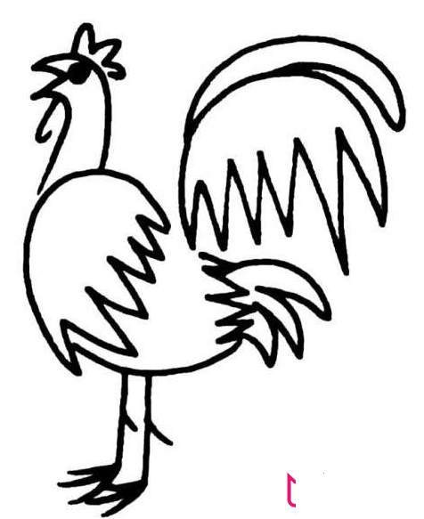 公鸡简笔画，简单的画法