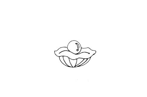 珍珠贝壳简笔画画法步骤图片