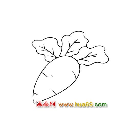 蔬菜简笔画│萝卜3