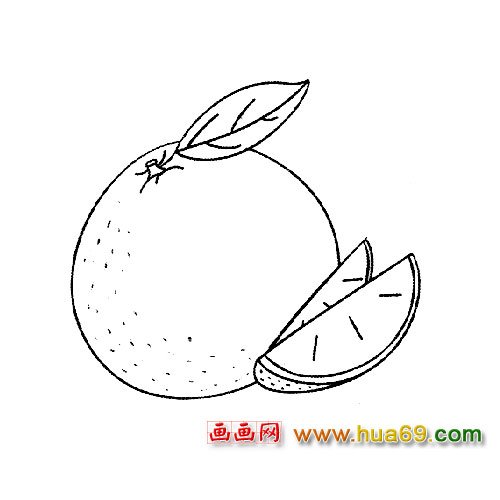 水果简笔画：柑橘
