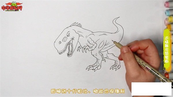 迅猛暴龙简笔画