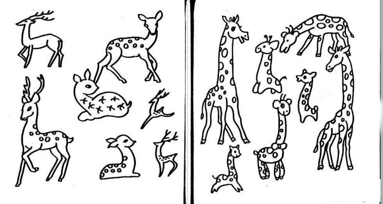 简笔画梅花鹿和长颈鹿的具体画法步骤图片教程