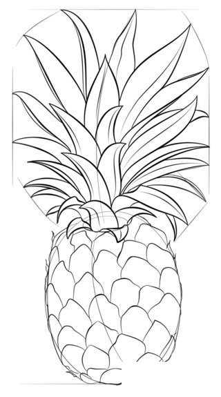 菠萝简笔画