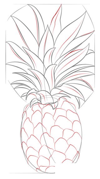 菠萝简笔画
