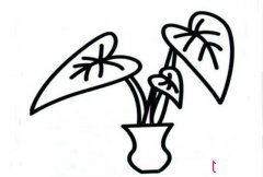 滴水观音简笔画