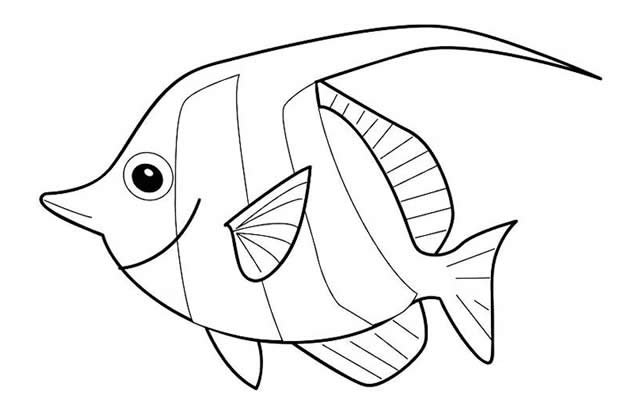 海洋鱼类动物简笔画