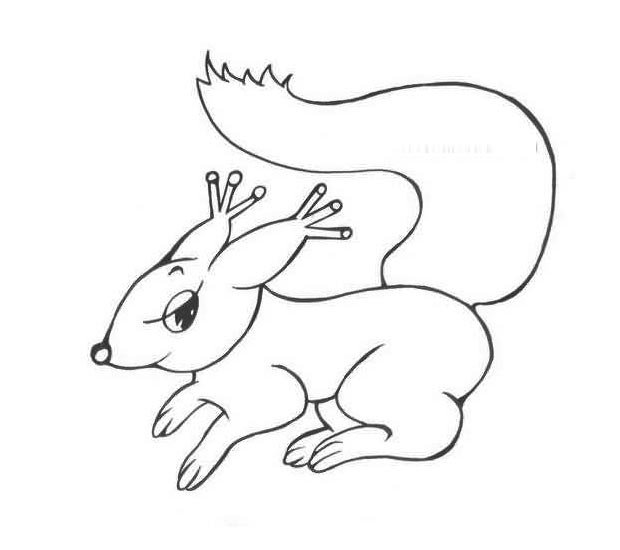 幼儿简笔画：一只跑步的小松鼠简笔画
