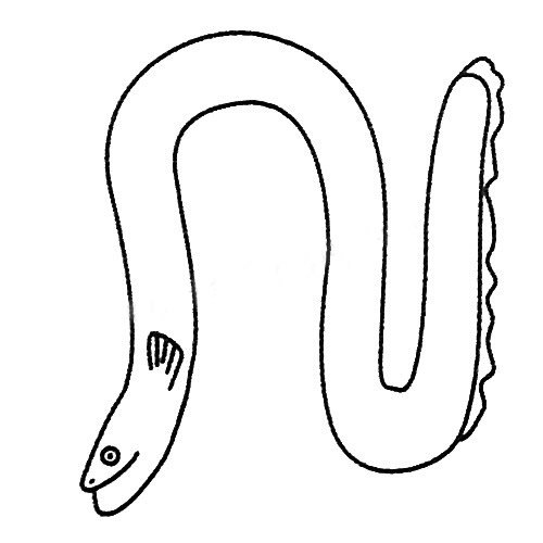 电鳗简笔画图片大全