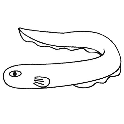 电鳗简笔画图片