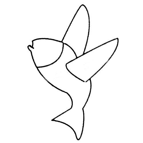 飞鱼简笔画