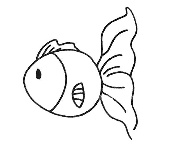 孔雀鱼简笔画步骤4