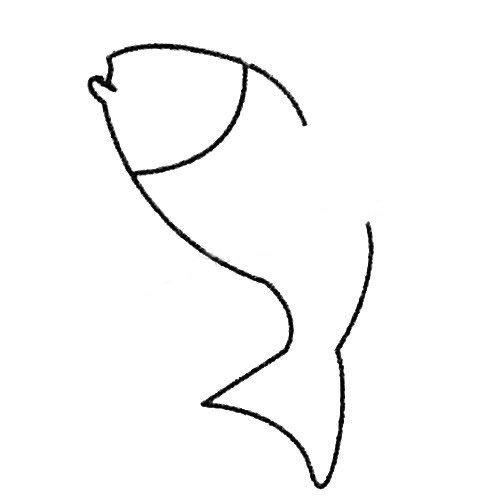 飞鱼简笔画