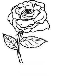 单支玫瑰花简笔画