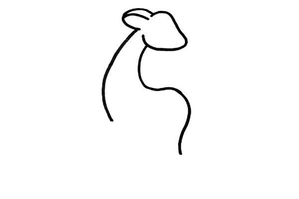 梅花鹿简笔画步骤3