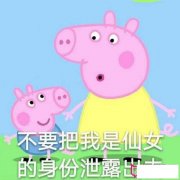 超可爱小猪佩奇表情包，不要泄露我仙女的身份