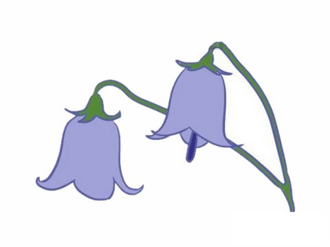 铃兰花简笔画图片