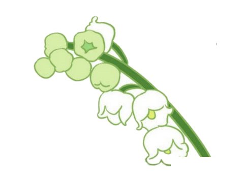 铃兰花简笔画图片