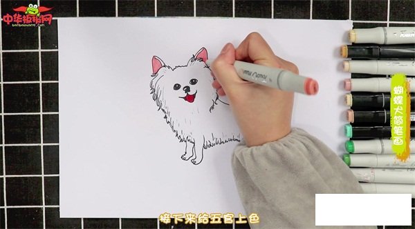 蝴蝶犬简笔画