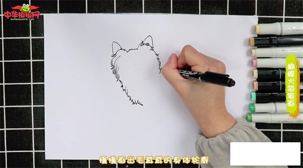 蝴蝶犬简笔画