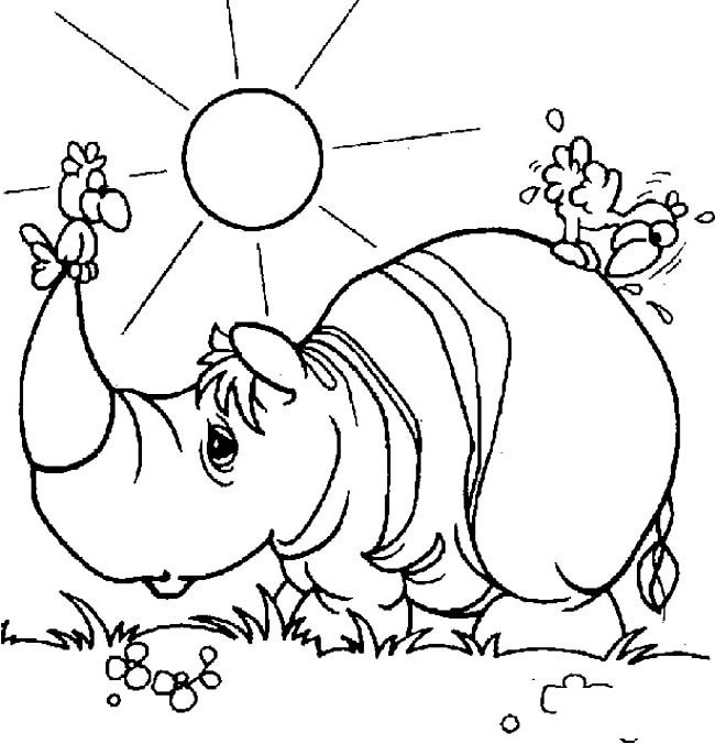 晒太阳的犀牛动物简笔画步骤图片大全