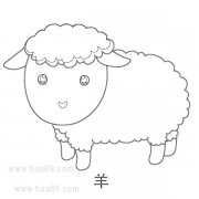 儿童简笔画：一只小羊羔