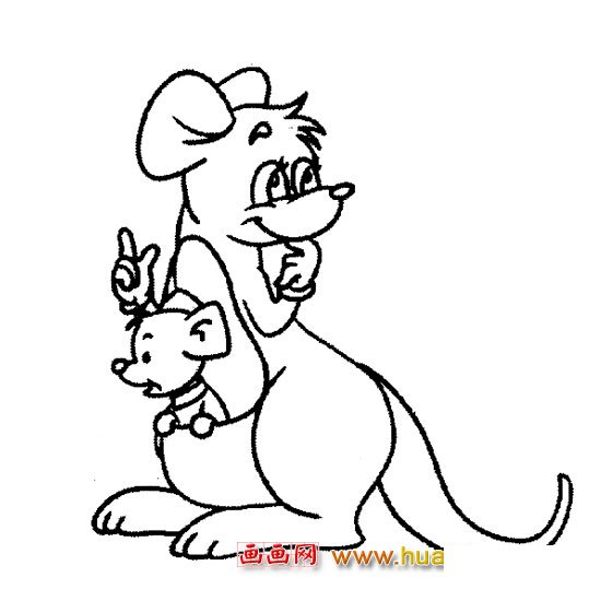 简笔画（袋鼠母子）3