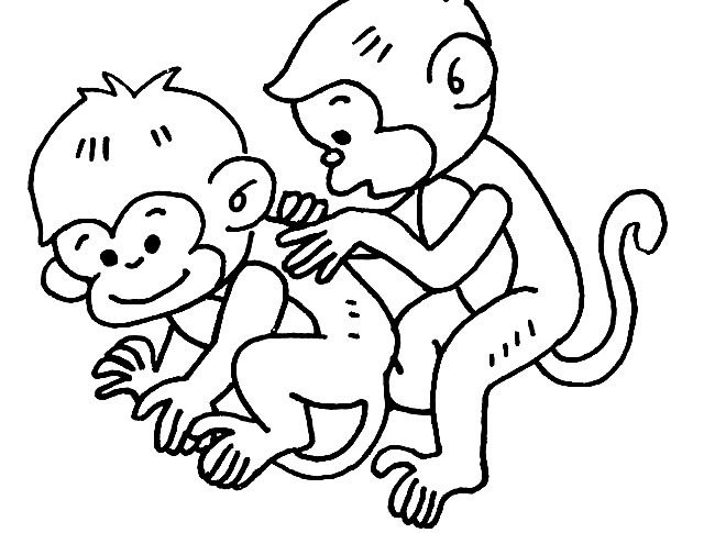 两只小猴子动物简笔画步骤图片大全